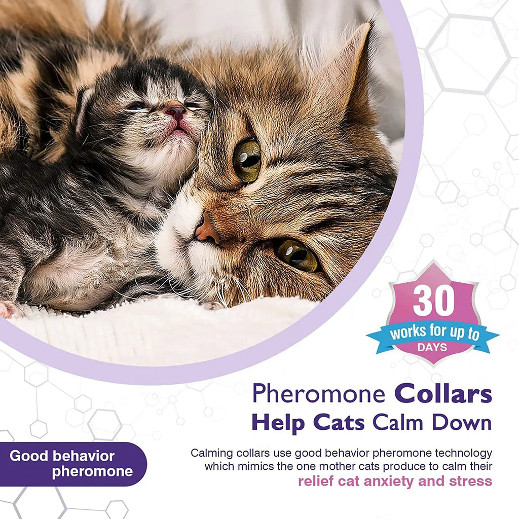 Pet Calming Collar For Cats Dogs Adjustable Anxiety Pheromone Reducing Pet Collar Lasting Natural Calm Relax Soothing Collars
