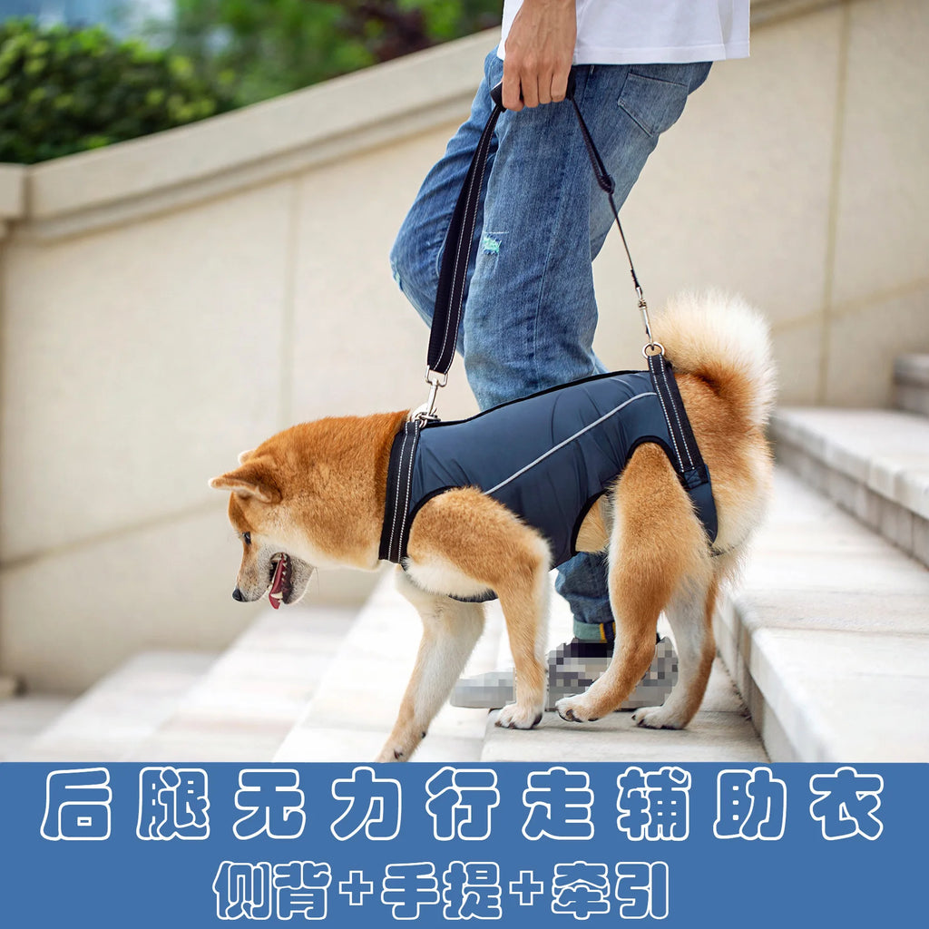 Dog Lift Harness Pet Support Rehabilitation Sling Padded Breathable Straps for Old Disabled Joint Injuries Arthritis Dog Walk