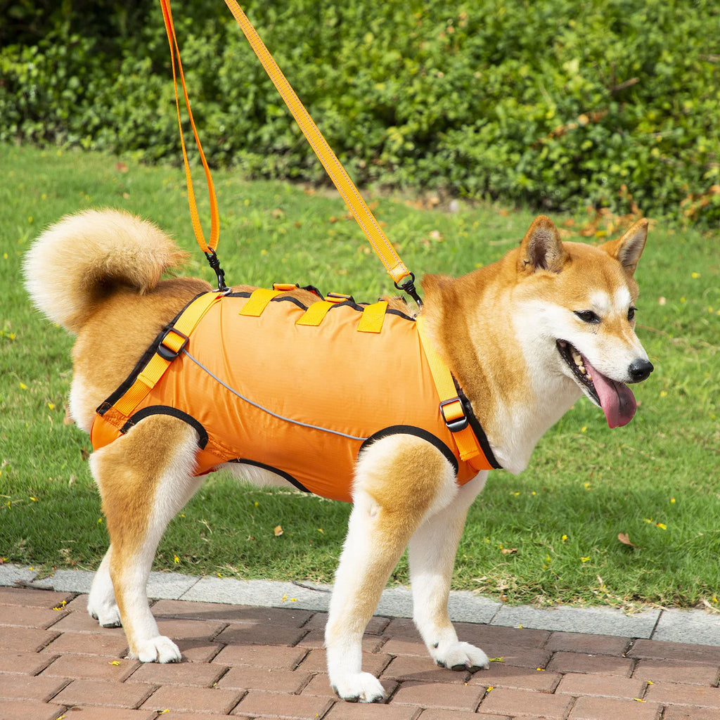 Dog Lift Harness Pet Support Rehabilitation Sling Padded Breathable Straps for Old Disabled Joint Injuries Arthritis Dog Walk