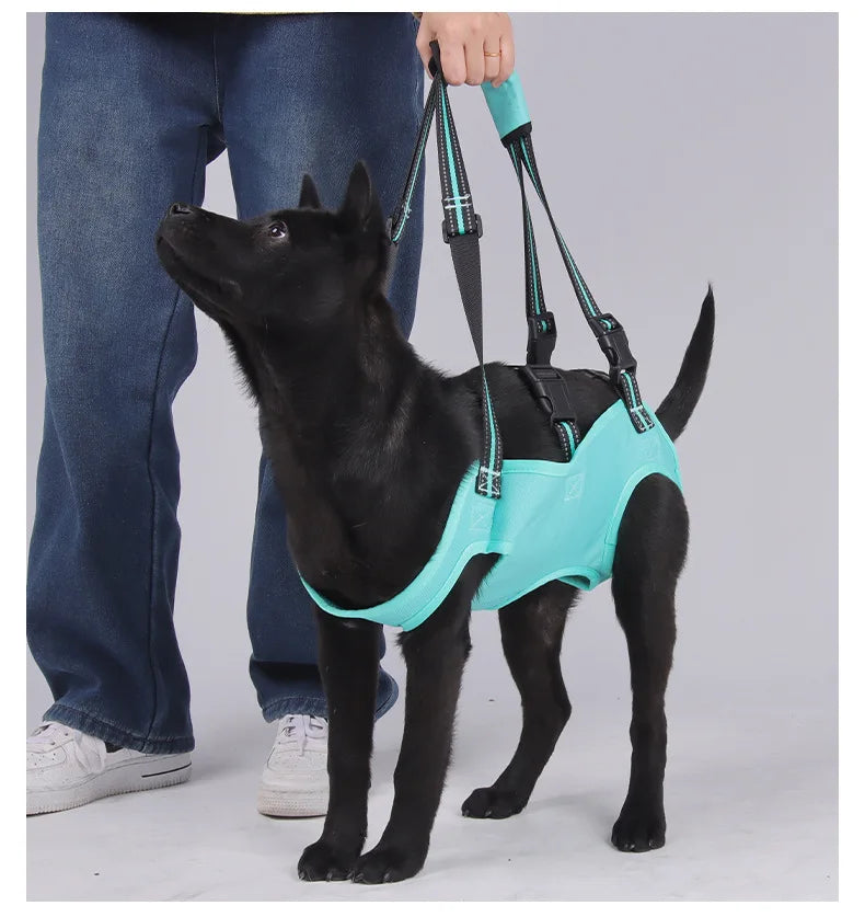 Comfort-Fit Dog Lift Harness - Adjustable Pet Support Sling for Injury Recovery, Disability Aid & Elderly Assistance