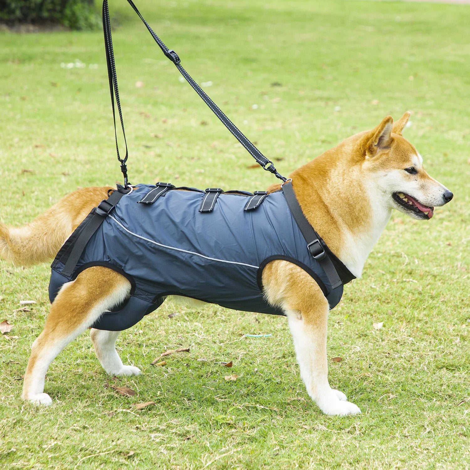 Dog Lift Harness Pet Support Rehabilitation Sling Padded Breathable Straps for Old Disabled Joint Injuries Arthritis Dog Walk