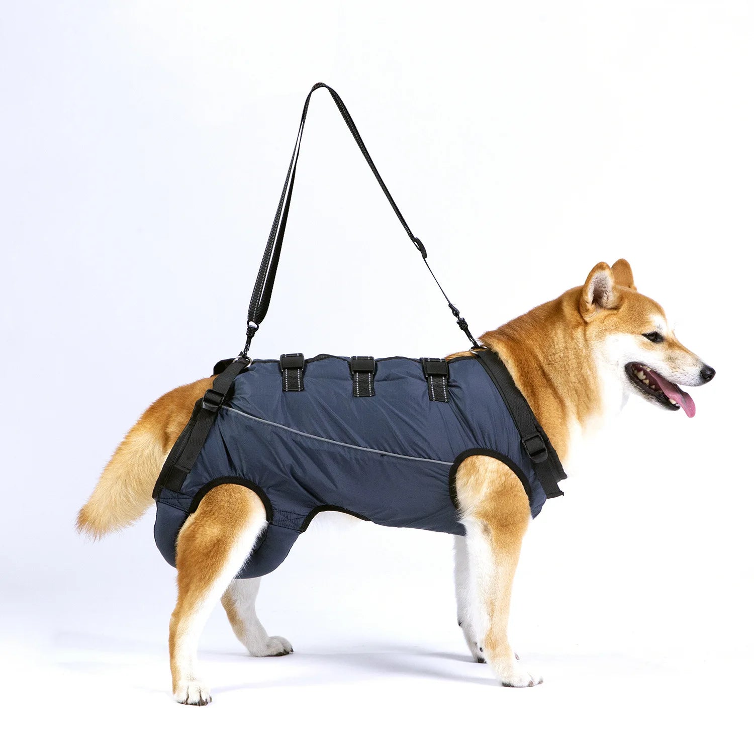 Dog Lift Harness Pet Support Rehabilitation Sling Padded Breathable Straps for Old Disabled Joint Injuries Arthritis Dog Walk