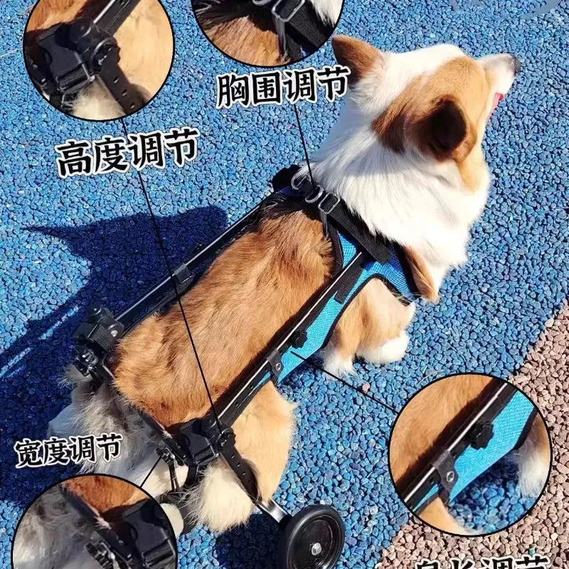 Pet Wheelchair Dog Wheelchair Hind Limb Paralysis Disabled Elderly Pet Scooter Dog Rehabilitation Walking Assist Vehicle