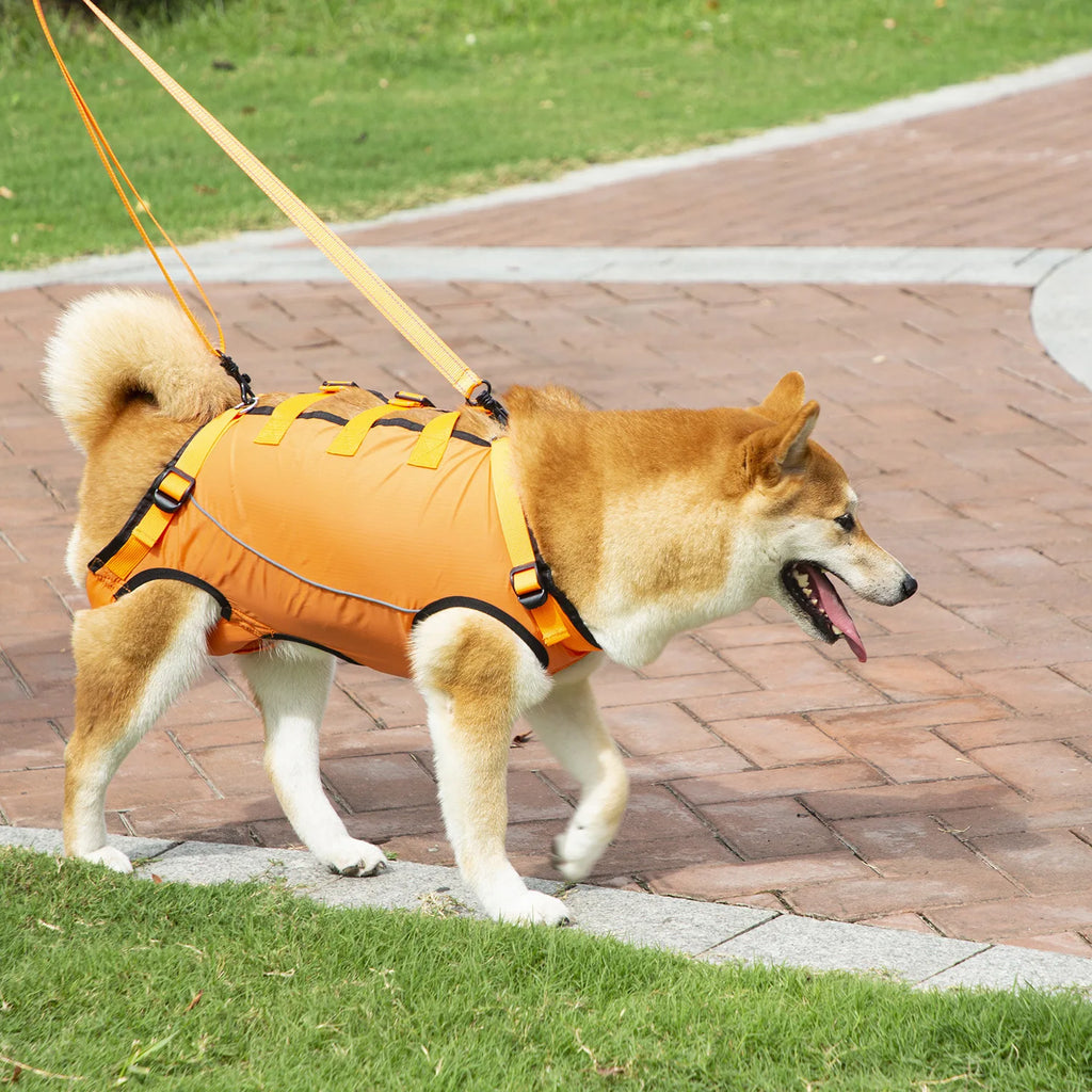 Dog Lift Harness Pet Support Rehabilitation Sling Padded Breathable Straps for Old Disabled Joint Injuries Arthritis Dog Walk