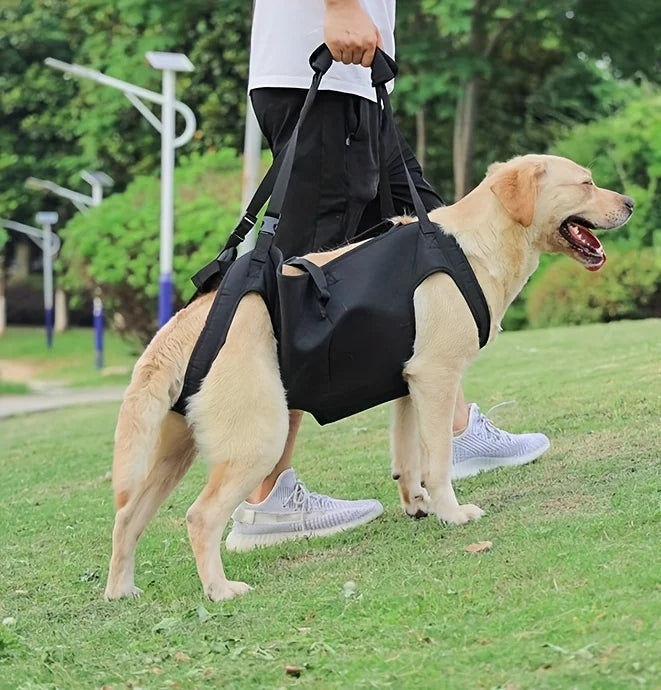 Comfort-Fit Dog Lift Harness - Adjustable Pet Support Sling for Injury Recovery, Disability Aid & Elderly Assistance
