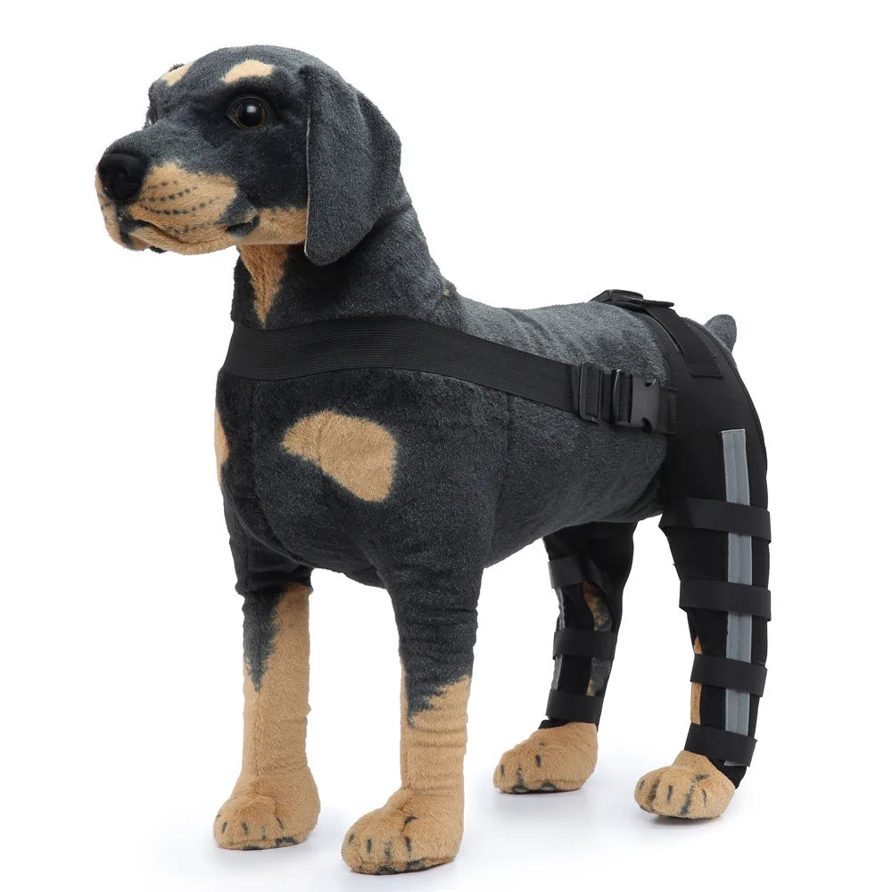 Dog Rear Leg Braces – Support Splint for Elderly & Post-Surgery Pets, Adjustable Aid for Hip Dysplasia & Injury Recovery