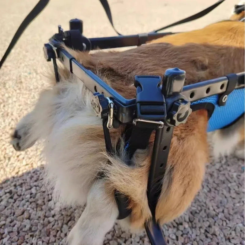 Pet Wheelchair Dog Wheelchair Hind Limb Paralysis Disabled Elderly Pet Scooter Dog Rehabilitation Walking Assist Vehicle