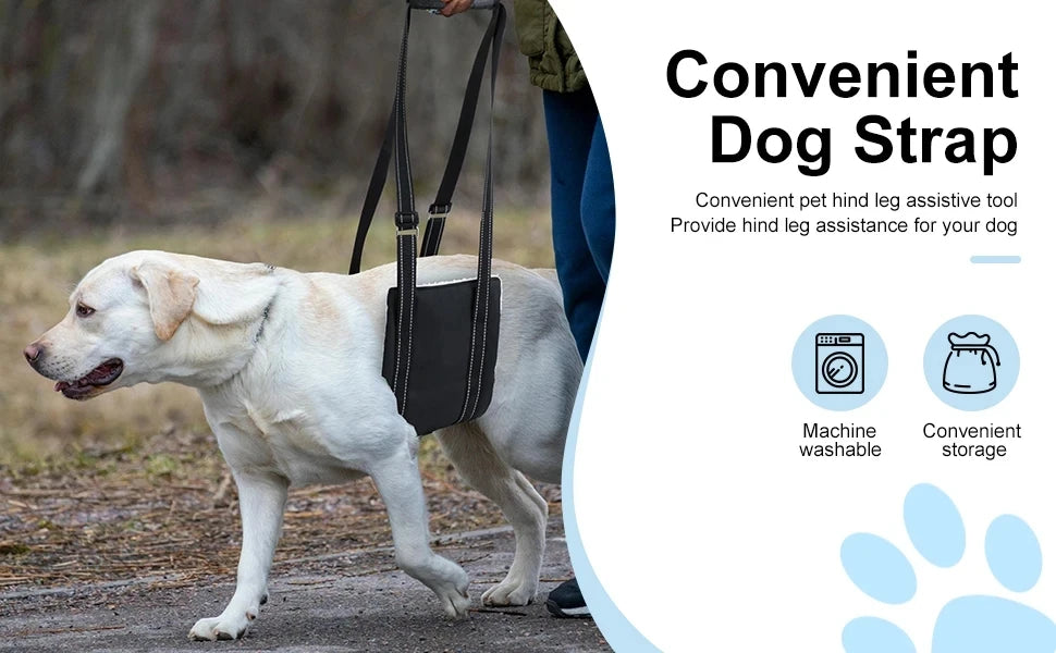 Adjustable Dog Sling for Back Legs Support Rehab Harness for Weak Rear Legs Pet Aid Assist Tool for Elderly Dog