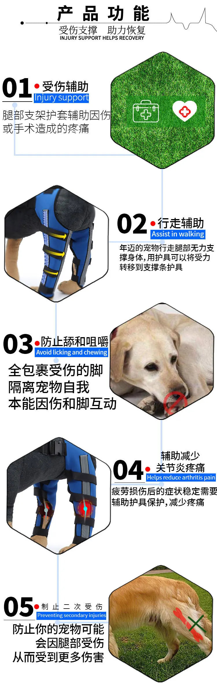 Dog Rear Leg Braces – Support Splint for Elderly & Post-Surgery Pets, Adjustable Aid for Hip Dysplasia & Injury Recovery
