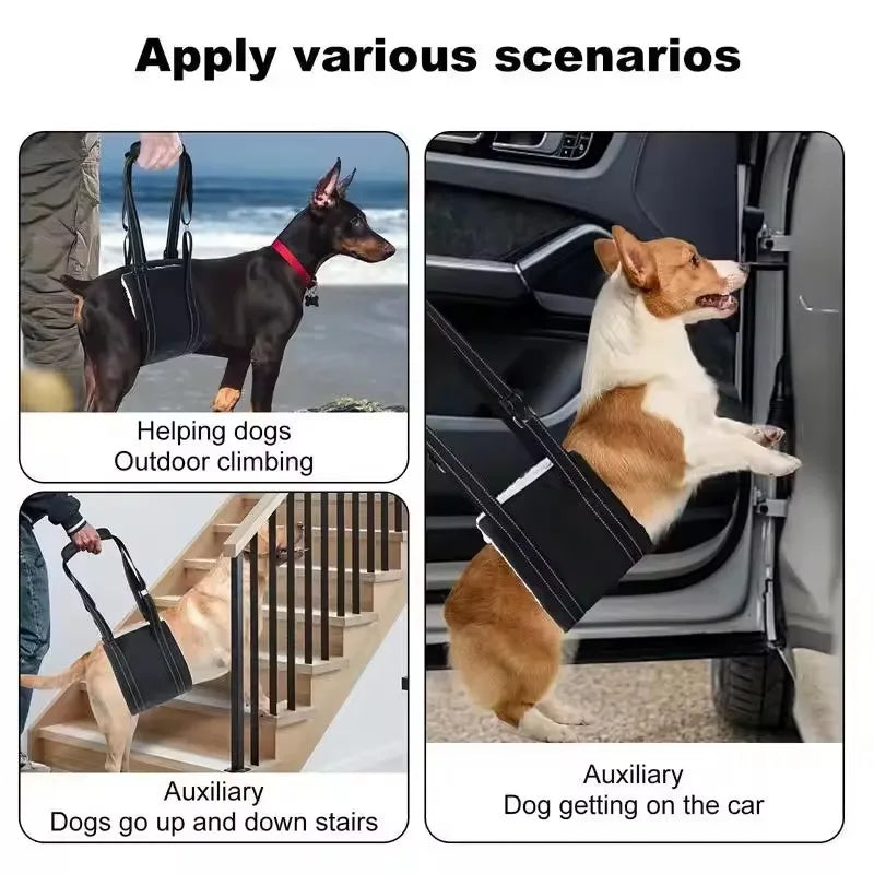 Adjustable Dog Sling for Back Legs Support Rehab Harness for Weak Rear Legs Pet Aid Assist Tool for Elderly Dog