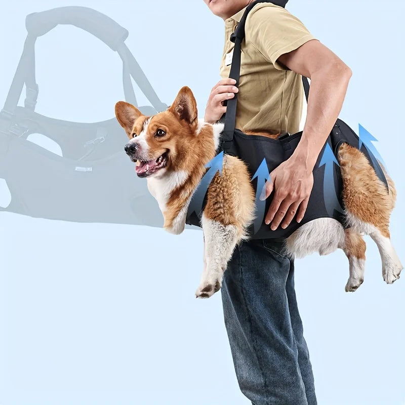 Comfort-Fit Dog Lift Harness - Adjustable Pet Support Sling for Injury Recovery, Disability Aid & Elderly Assistance