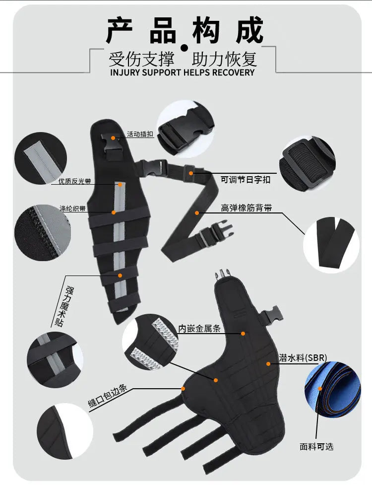 Dog Rear Leg Braces – Support Splint for Elderly & Post-Surgery Pets, Adjustable Aid for Hip Dysplasia & Injury Recovery